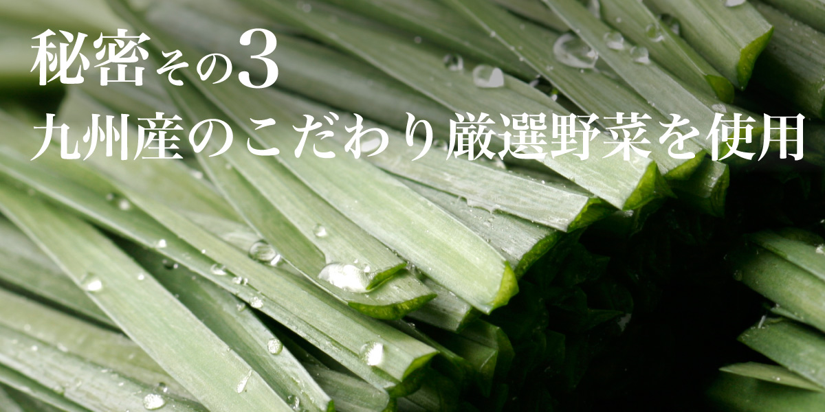 九州産のこだわり厳選野菜を使用